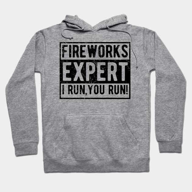 Fireworks Expert fourth of july Hoodie by Gaming champion